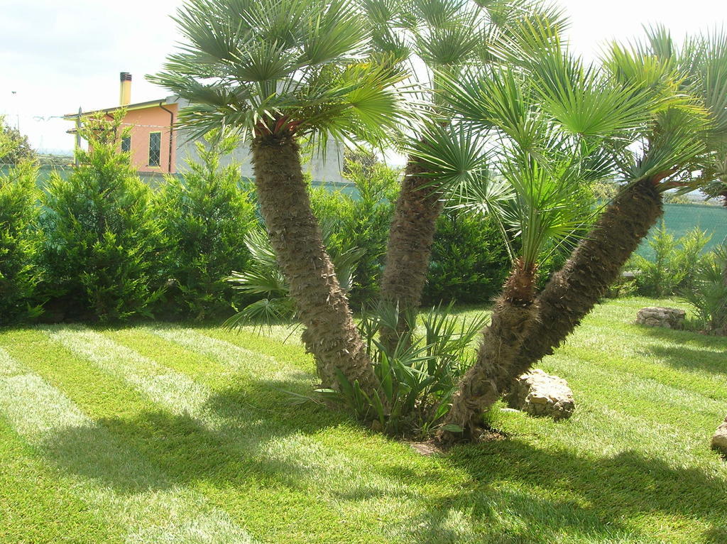 B&B S'Ena Suni Exteriér fotografie